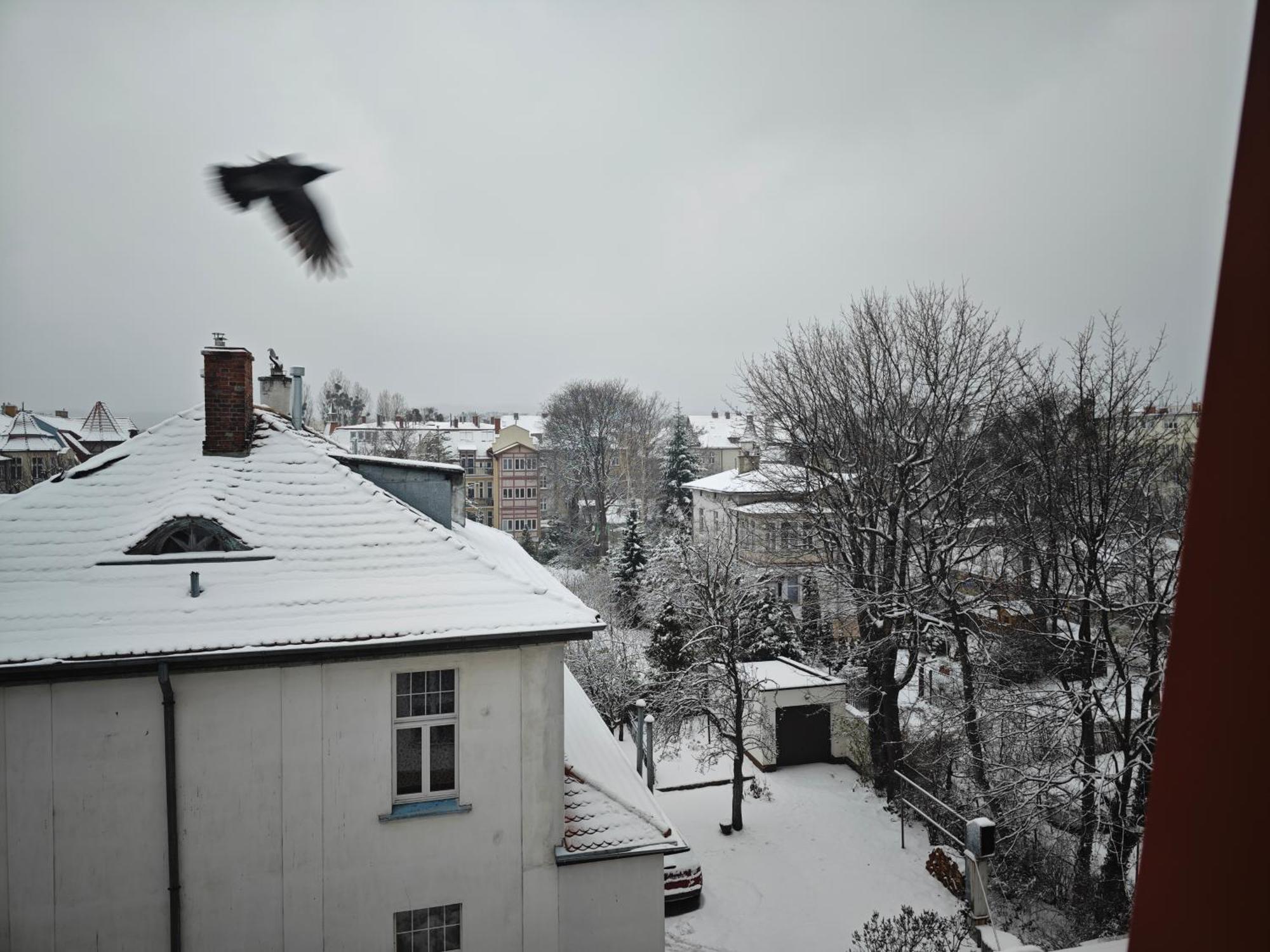 Willa Ksiezniczki Sopotu Buitenkant foto